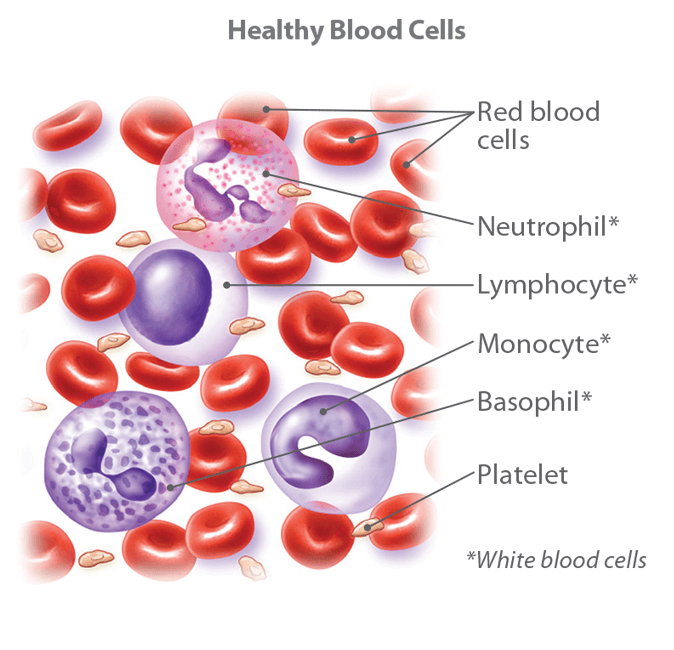 Blood Cancer Treatment