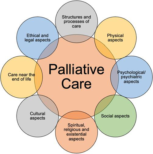 Palliative Care
