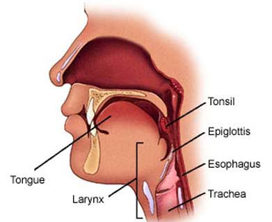 Throat Surgery