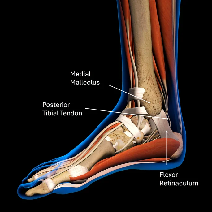 Foot and Ankle Injury Treatment